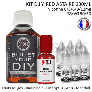 Kit D.I.Y. RED ASTAIRE 230ml