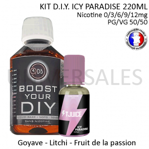 Kit D.I.Y. ICY PARADISE 220ml