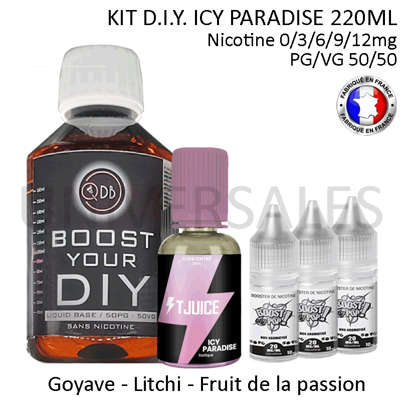 KIT DIY ICY PARADISE PAS CHER
