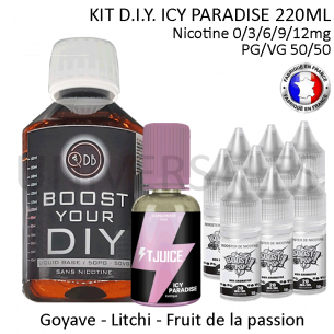 Kit D.I.Y. ICY PARADISE 220ml