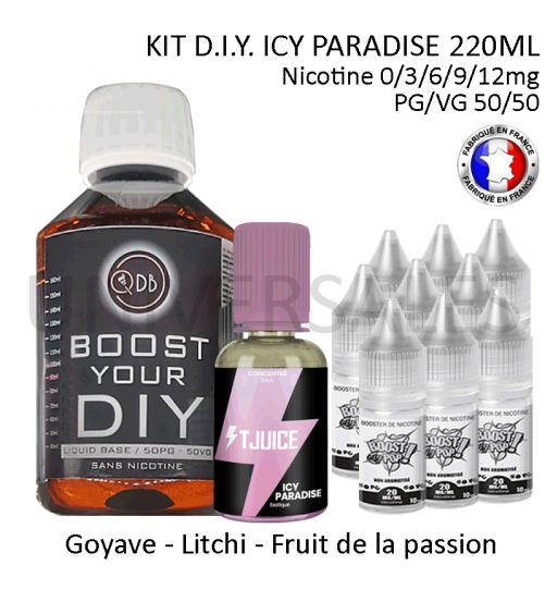 Kit D.I.Y. ICY PARADISE 220ml