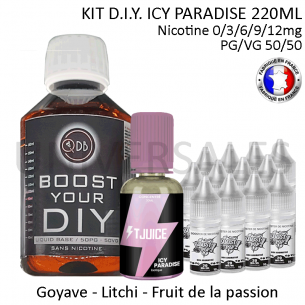 Kit D.I.Y. ICY PARADISE 220ml
