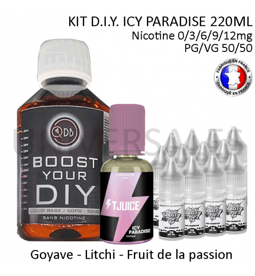 Kit D.I.Y. ICY PARADISE 220ml