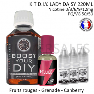 KIT DIY LAIDY DAISY PAS CHER