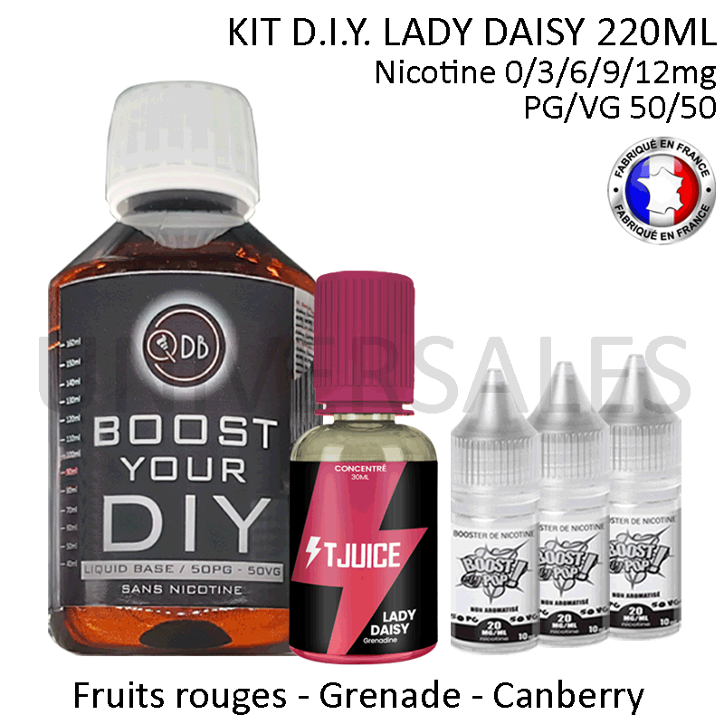 KIT DIY LAIDY DAISY PAS CHER
