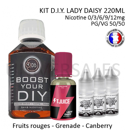 KIT DIY LAIDY DAISY PAS CHER