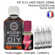 Kit D.I.Y. LADY DAISY 220ml