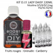 Kit D.I.Y. LADY DAISY 220ml