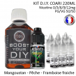 Kit D.I.Y. COARI 220ml Kit D.I.Y. COARI 220ml