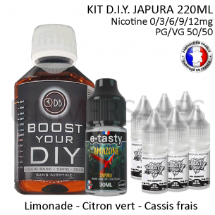 Kit D.I.Y. JAPURA 220ml