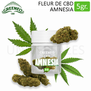 Fleur amnesia cbd pas cher 5 grammes