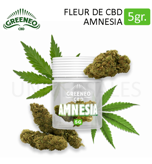 Fleur amnesia cbd pas cher 5 grammes