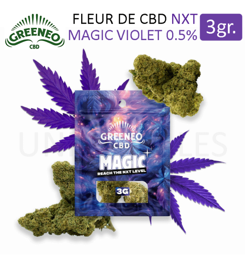 FLEUR MAGIC VIOLET NXT pas cher