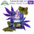 FLEUR MAGIC VIOLET 3gr NXT CBD FLEUR MAGIC VIOLET 3gr NXT CBD