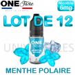 E Liquides MENTHE POLAIRE lot de 12