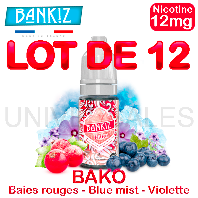 E Liquides BAKO lot de 12