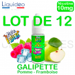 E liquide GALIPETTE lot de 12