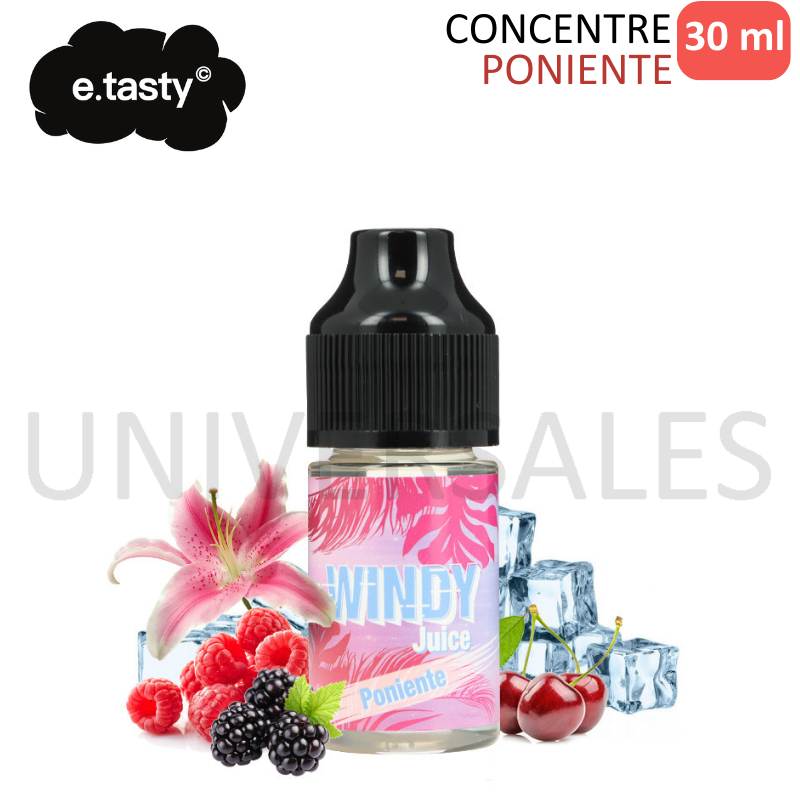 CONCENTRE PONIENTE WINDY JUICE 30ml